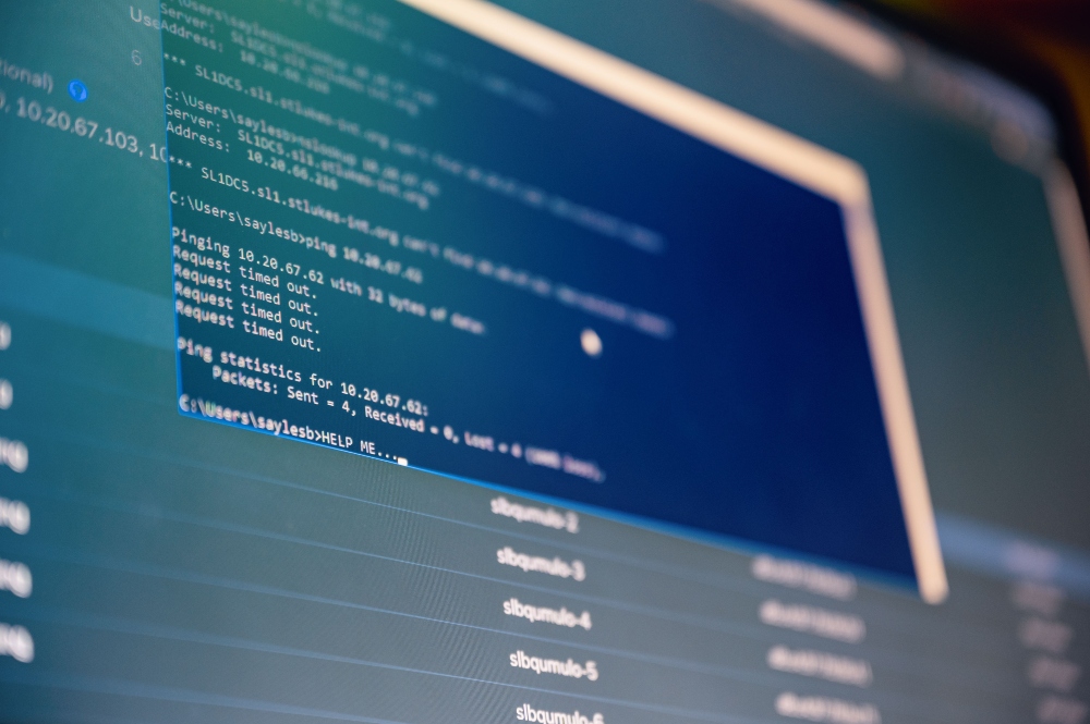 Computer screen showing software running in a command-line window